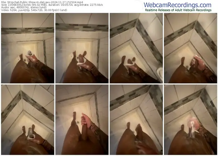 stripchat-da1jaxx-11-27-2024-15-15-04