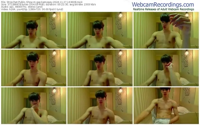stripchat-gaygamogey-11-27-2024-16-36-08