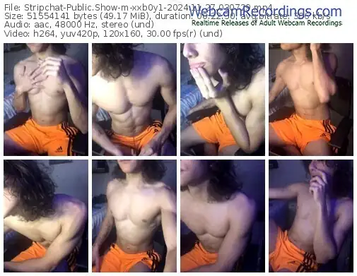 stripchat-xxb0y1-11-27-2024-03-07-29