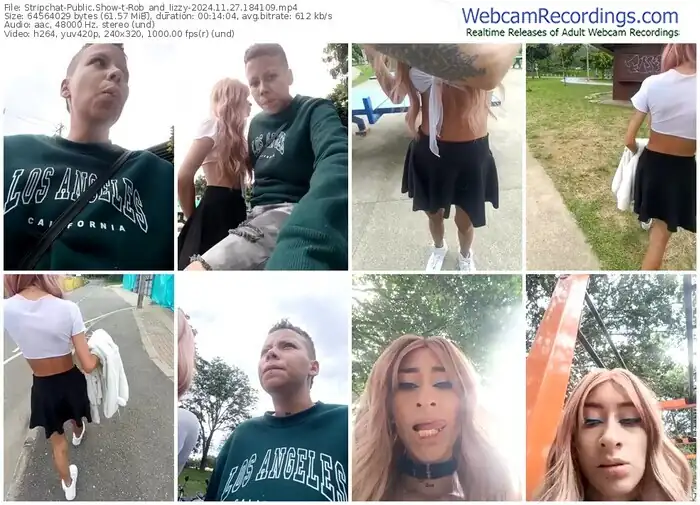 stripchat-rob_and_lizzy-11-27-2024-18-41-09