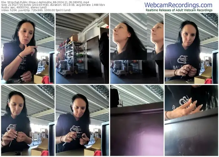 stripchat-aphrodite_88-11-28-2024-08-36-51