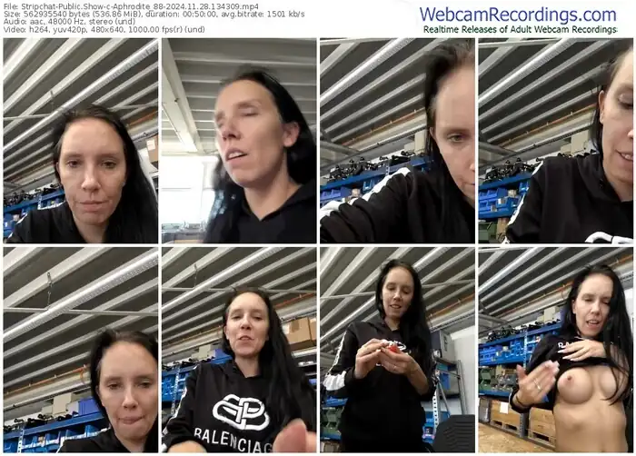 stripchat-aphrodite_88-11-28-2024-13-43-09