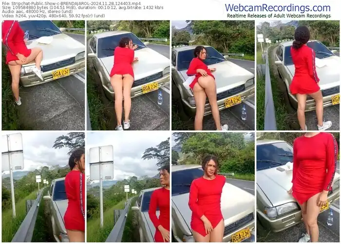 stripchat-brendajarol-11-28-2024-12-44-03