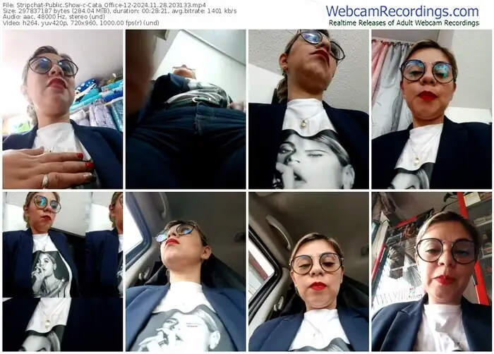 stripchat-cata_office-12-11-28-2024-20-31-33
