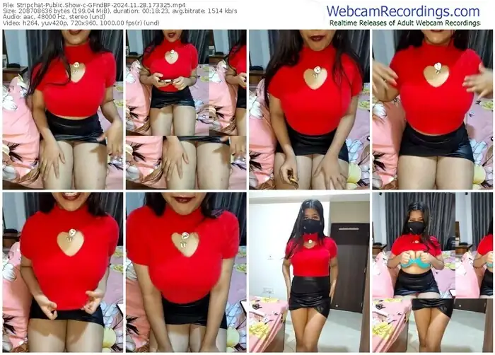 stripchat-gfndbf-11-28-2024-17-33-25