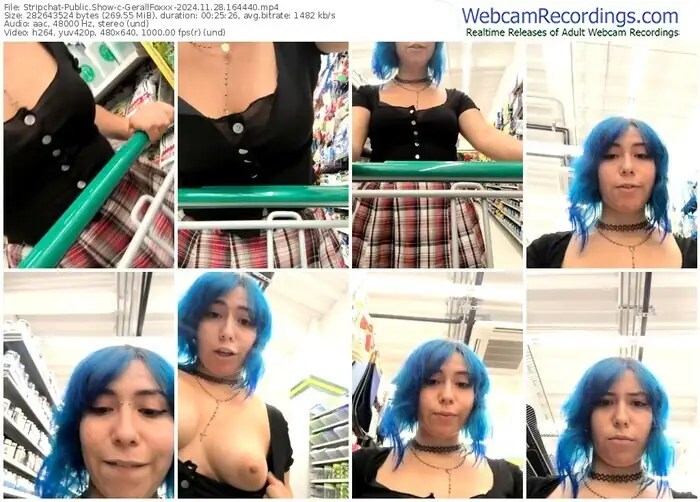 stripchat-gerallfoxxx-11-28-2024-16-44-40