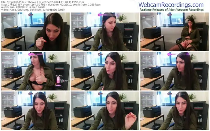 stripchat-lib_ertine32-11-28-2024-11-15-55