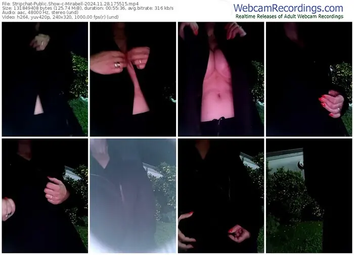 stripchat-mirabell-11-28-2024-17-55-15