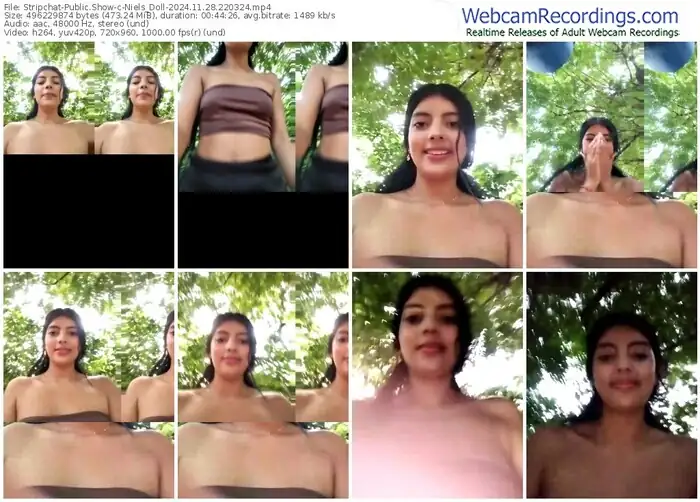 stripchat-niels_doll-11-28-2024-22-03-24