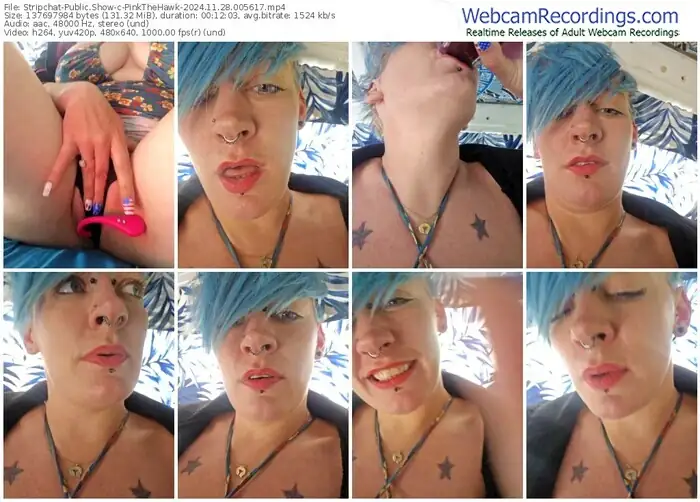 stripchat-pinkthehawk-11-28-2024-00-56-17