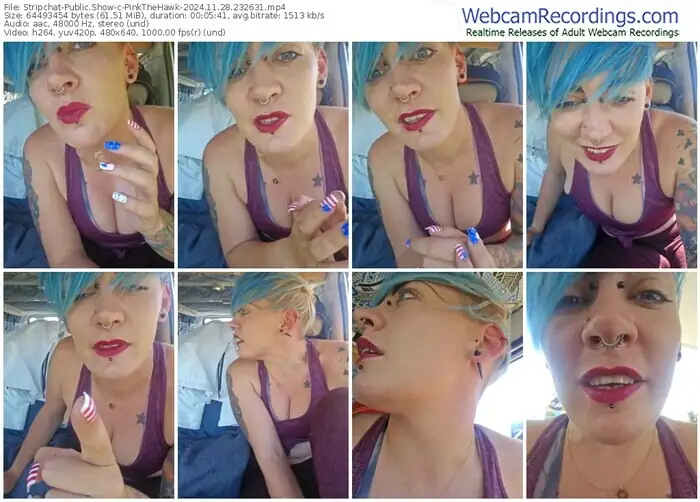 stripchat-pinkthehawk-11-28-2024-23-26-31