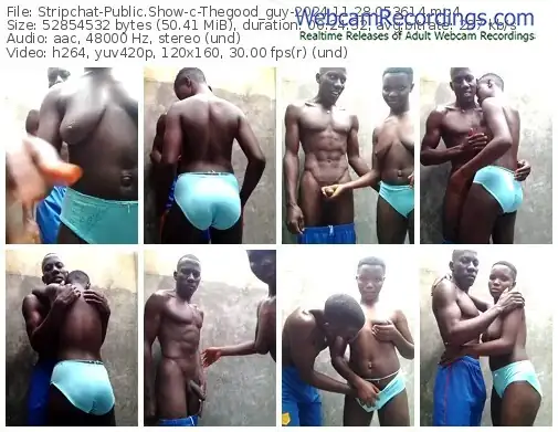 stripchat-thegood_guy-11-28-2024-05-36-14