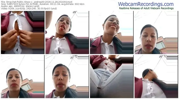 stripchat-_andrea30-11-28-2024-20-16-44