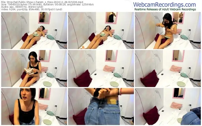 stripchat-harem_s_theo-11-28-2024-01-50-36