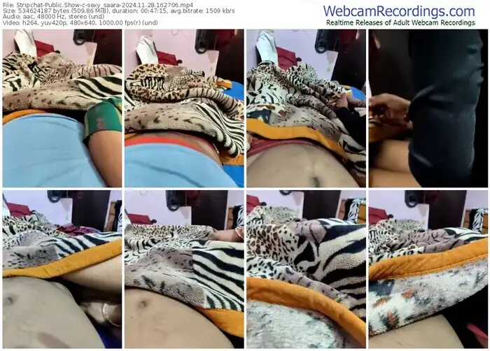 stripchat-sexy_saara-11-28-2024-16-27-06