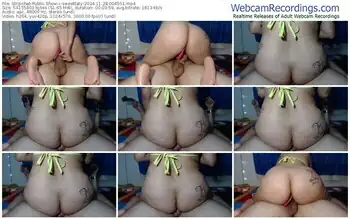 stripchat-sweettaty-11-28-2024-00-45-51