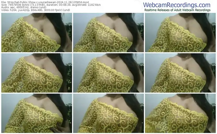 stripchat-yourashawari-11-28-2024-10-58-56