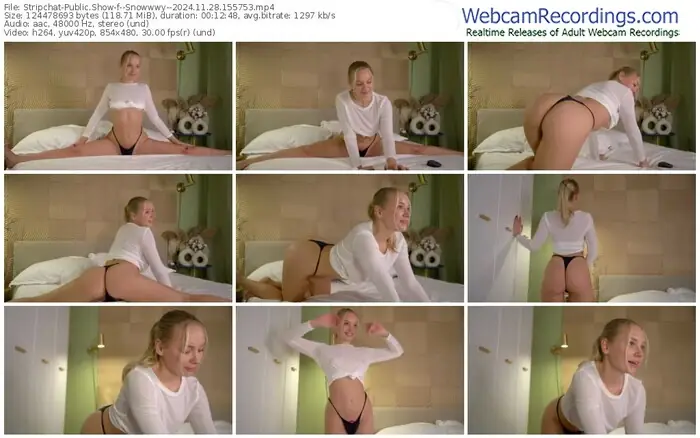 stripchat--snowwwy--11-28-2024-15-57-53