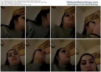 stripchat-adelynreyes-11-28-2024-20-29-35