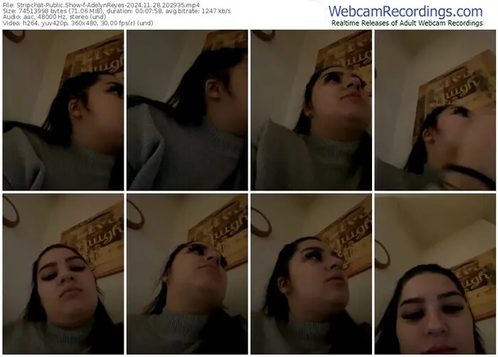 stripchat-adelynreyes-11-28-2024-20-29-35