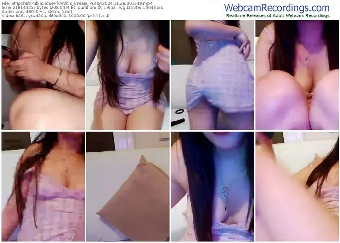 stripchat-arabic_cream_pussy-11-28-2024-00-13-49
