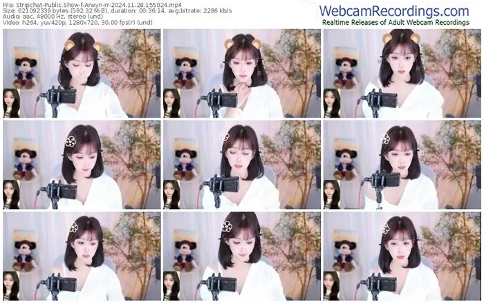 stripchat-arwyn-rr-11-28-2024-15-50-24