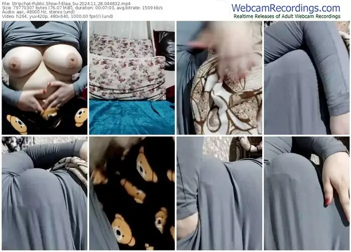 stripchat-elaa_su-11-28-2024-04-48-32