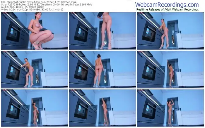 stripchat-jou_gun-11-28-2024-08-20-43