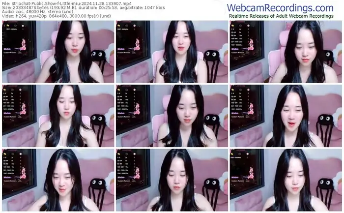 stripchat-little-miu-11-28-2024-13-39-07