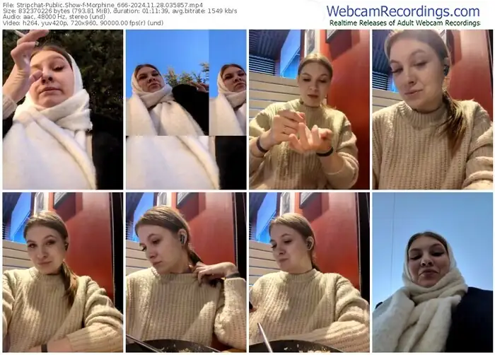 stripchat-morphine_666-11-28-2024-03-58-57