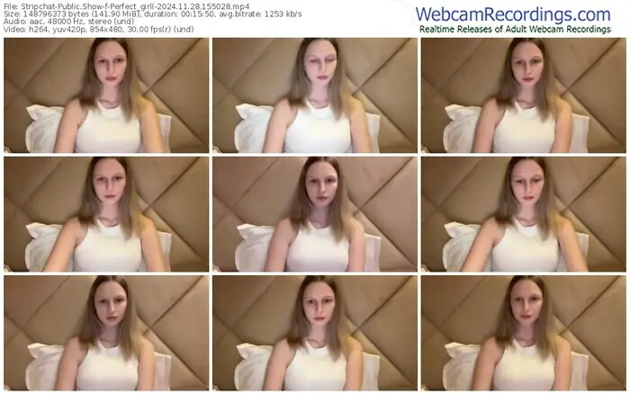 stripchat-perfect_girll-11-28-2024-15-50-28