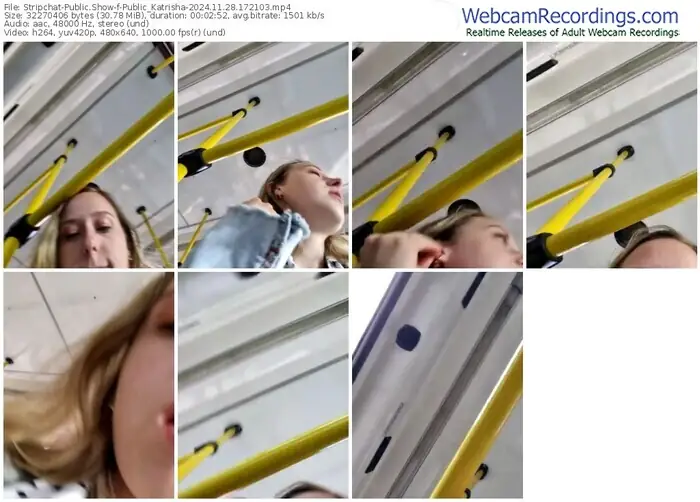 stripchat-public_katrisha-11-28-2024-17-21-03