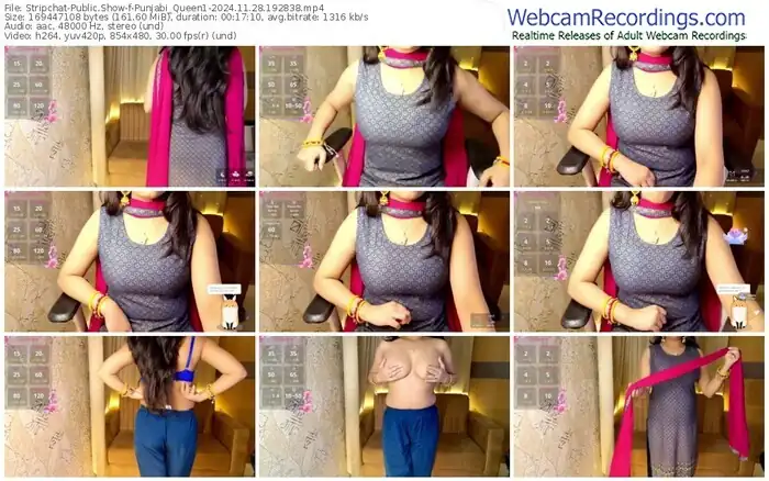 stripchat-punjabi_queen1-11-28-2024-19-28-38