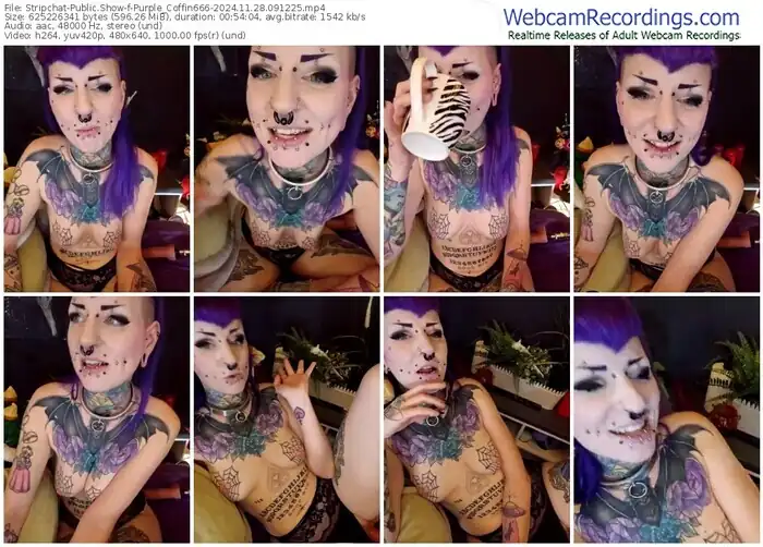 stripchat-purple_coffin666-11-28-2024-09-12-25