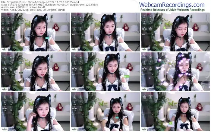 stripchat-sheep-1-11-28-2024-18-05-05