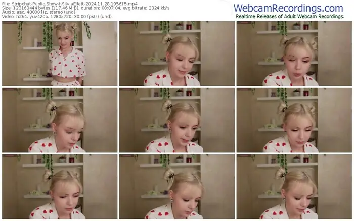 stripchat-silviaellett-11-28-2024-19-56-15