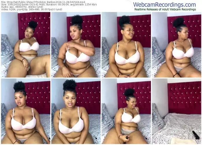 stripchat-thickass_barbie-11-28-2024-04-15-44
