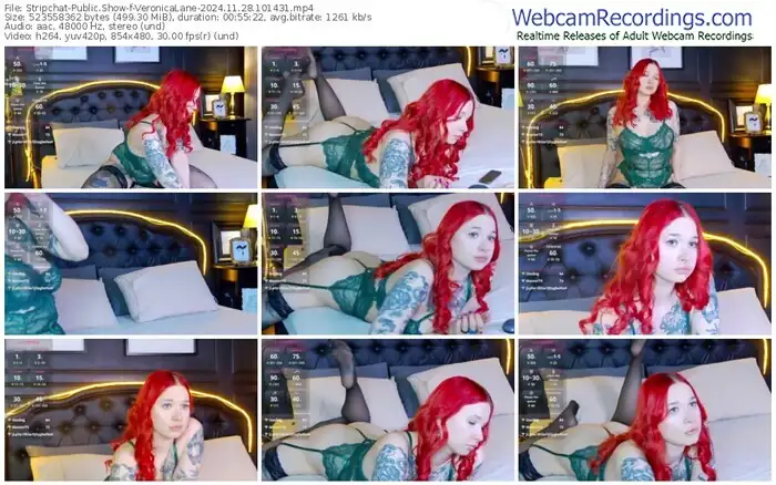 stripchat-veronicalane-11-28-2024-10-14-31