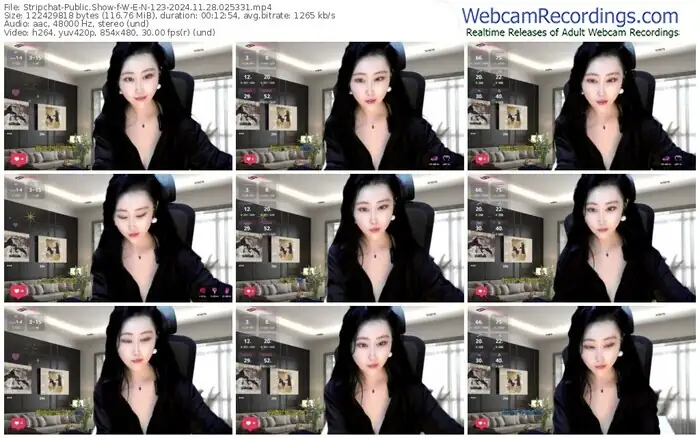 stripchat-w-e-n-123-11-28-2024-02-53-31