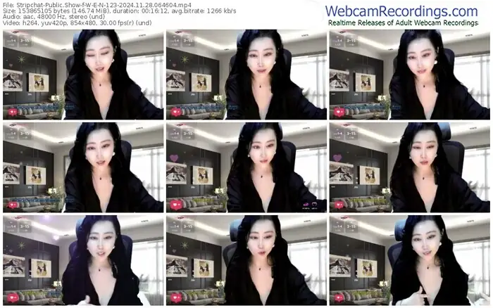 stripchat-w-e-n-123-11-28-2024-06-46-04