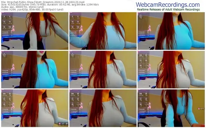 stripchat-wett_dreamm-11-28-2024-16-01-23