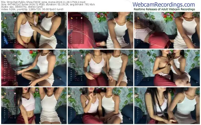 stripchat-wild_sona_mona-11-28-2024-17-50-12