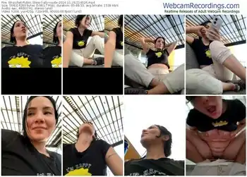 stripchat-ally-cuute-11-28-2024-21-40-26