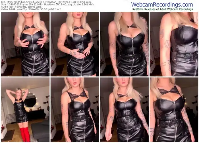 stripchat-josefine_svensson__02-11-28-2024-23-07-51