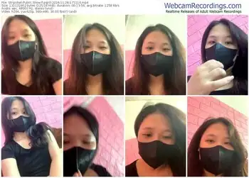 stripchat-pqnll-11-28-2024-17-51-14