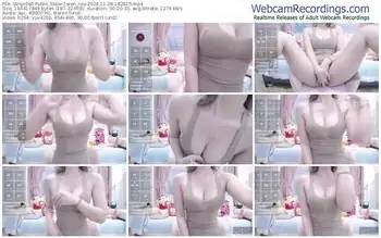 stripchat-wen_rou-11-28-2024-18-28-15