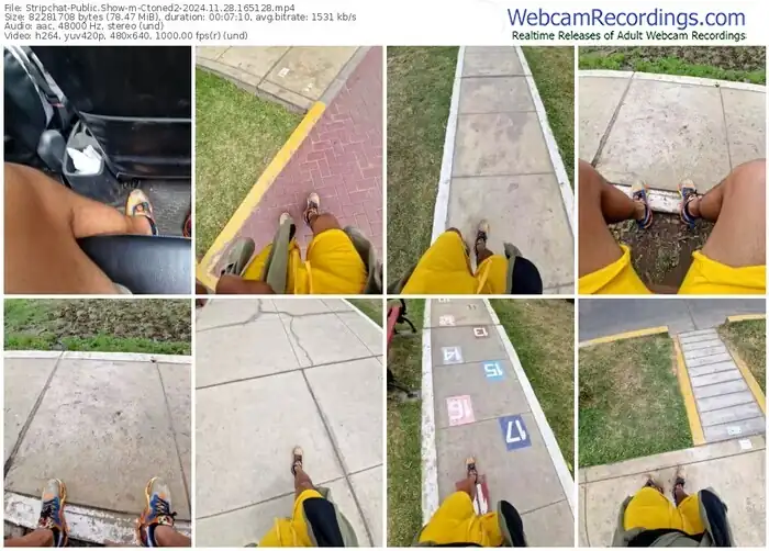 stripchat-ctoned2-11-28-2024-16-51-28