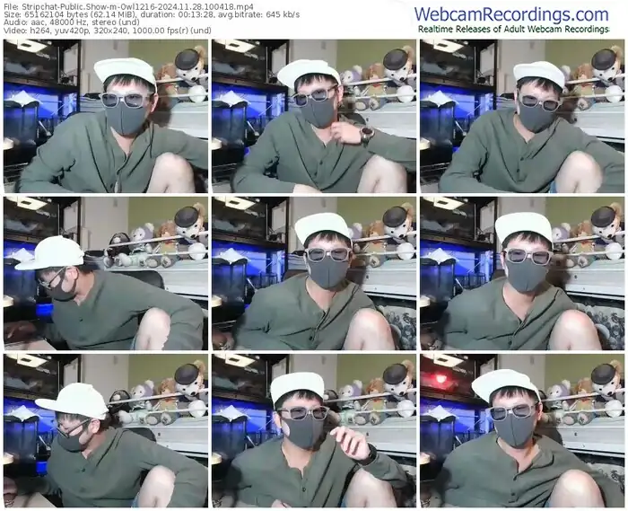 stripchat-owl1216-11-28-2024-10-04-18