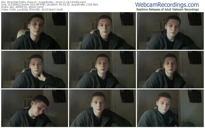stripchat-_sugarbutter_-11-28-2024-19-43-52