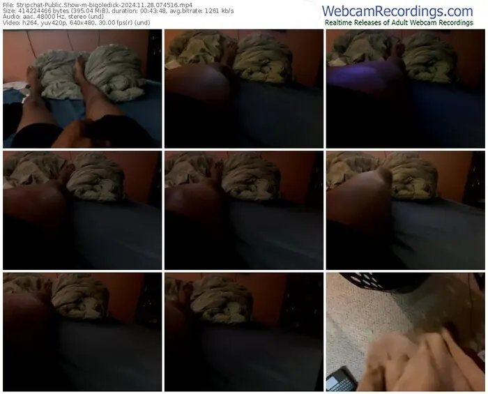stripchat-bigoledick-11-28-2024-07-45-16